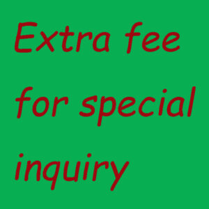 Custom made fee for special inquiry T-07