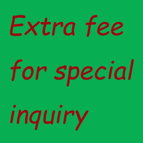 Custom made fee for special inquiry T-07